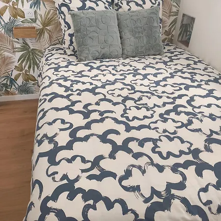 Appartement Petit Lourdes