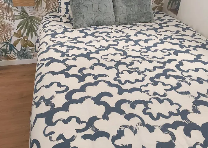 Appartement Petit Lourdes